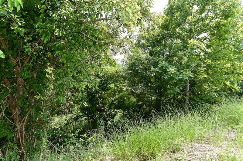 Lot 9 The Vines Blvd Lot 9, Marshall, NC 28753
