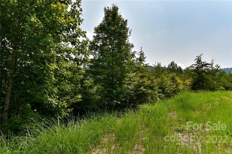 113 Chardonnay Ave #10, Marshall, NC 28753
