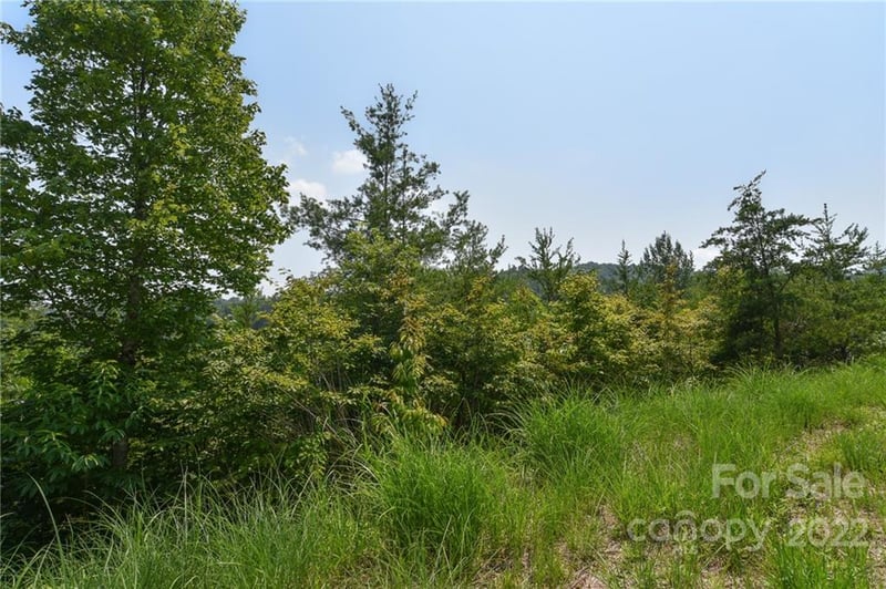 113 Chardonnay Ave #10, Marshall, NC 28753