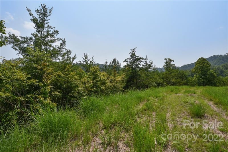 113 Chardonnay Ave #10, Marshall, NC 28753