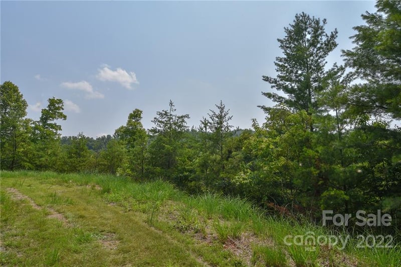 Lot 11 The Vines Blvd Lot 11, Marshall, NC 28753