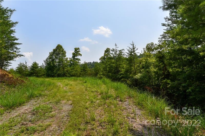 Lot 11 The Vines Blvd Lot 11, Marshall, NC 28753