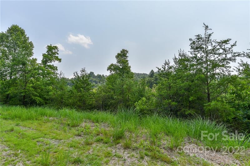 Lot 11 The Vines Blvd Lot 11, Marshall, NC 28753