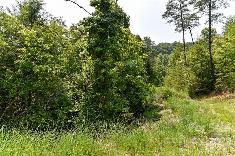 Lot 12 The Vines Blvd Lot 12, Marshall, NC 28753