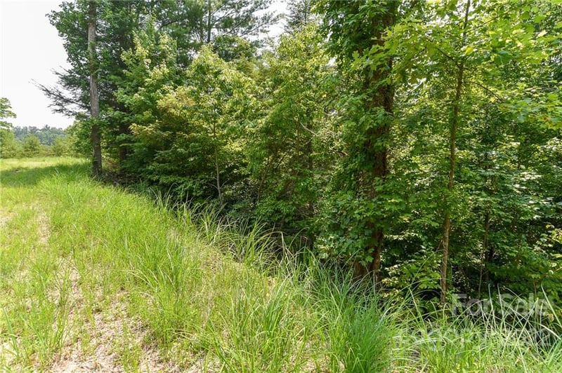 Lot 12 The Vines Blvd Lot 12, Marshall, NC 28753