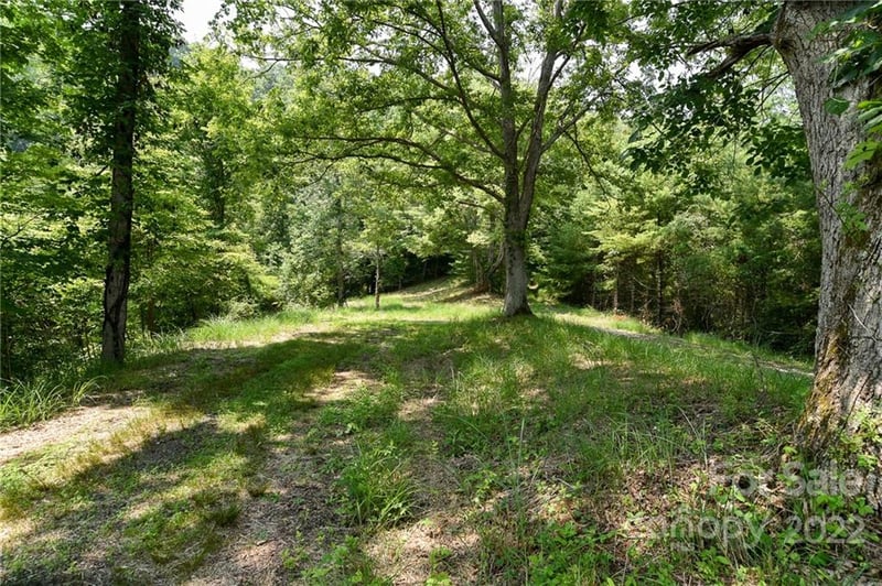 Lot 13 The Vines Blvd Lot 13, Marshall, NC 28753