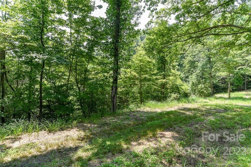 Lot 13 The Vines Blvd Lot 13, Marshall, NC 28753