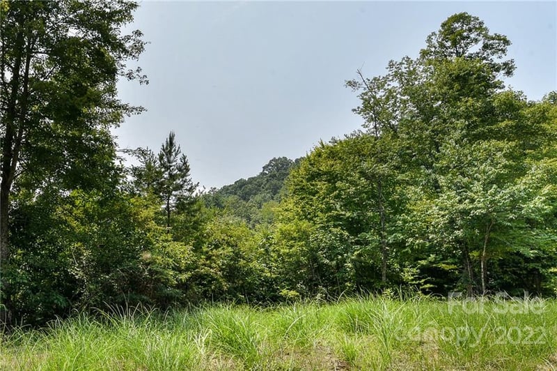 441 The Vines Blvd #15, Marshall, NC 28753
