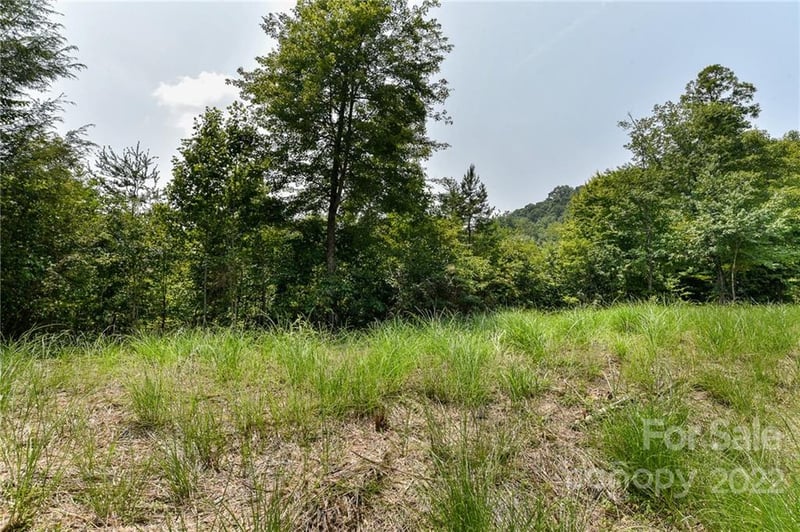 441 The Vines Blvd #15, Marshall, NC 28753