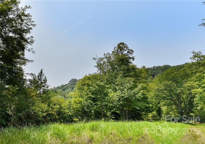 441 The Vines Blvd #15, Marshall, NC 28753
