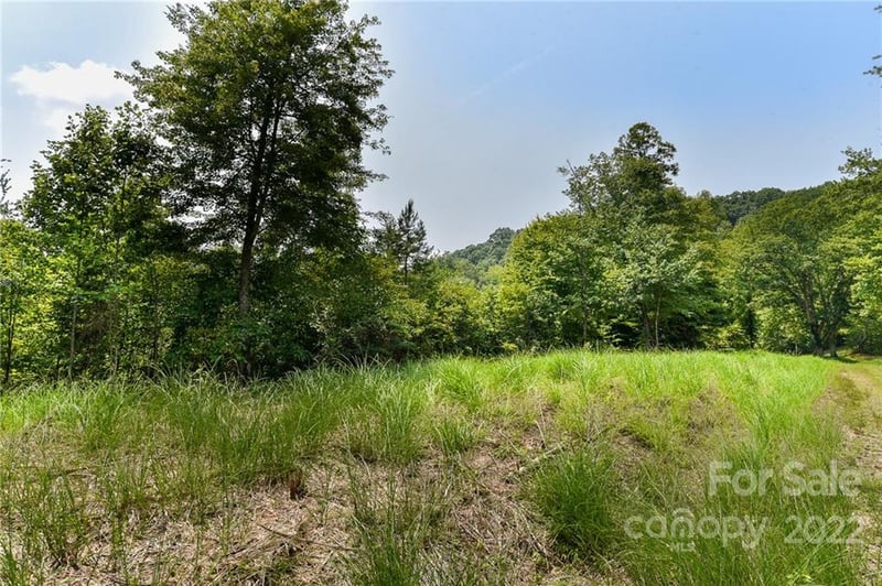 441 The Vines Blvd #15, Marshall, NC 28753