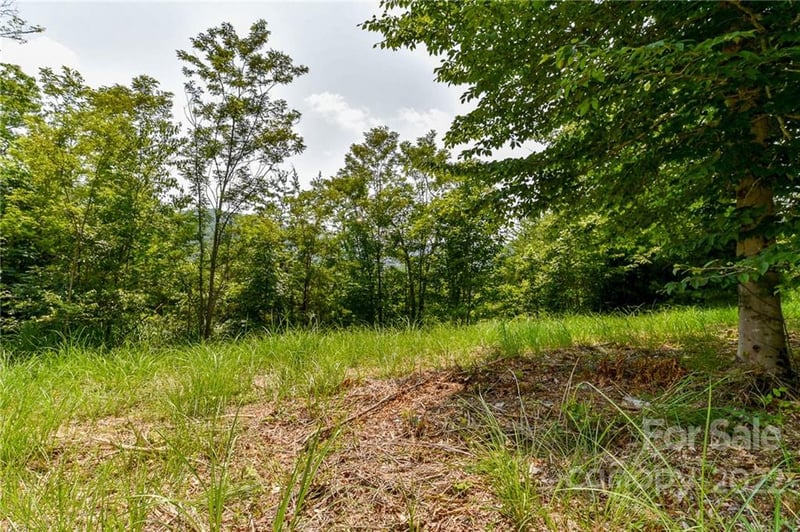 319 The Vines Blvd #21, Marshall, NC 28753