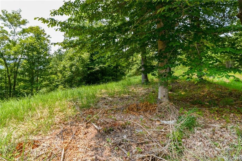 319 The Vines Blvd #21, Marshall, NC 28753