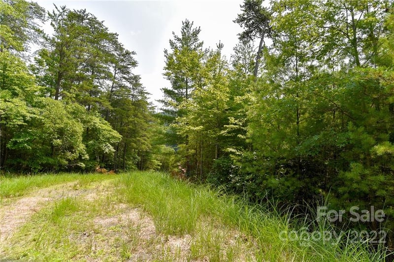 Lot 22 The Vines Blvd Lot 22, Marshall, NC 28753