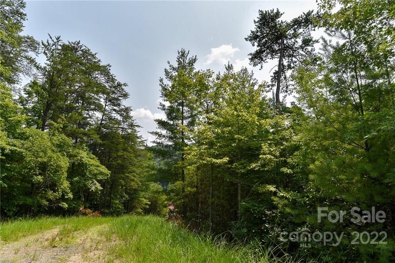 Lot 22 The Vines Blvd Lot 22, Marshall, NC 28753