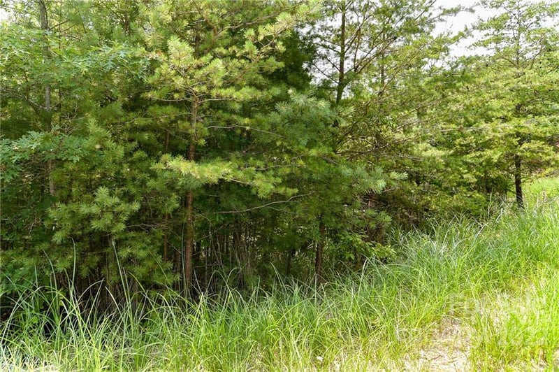 Lot 22 The Vines Blvd Lot 22, Marshall, NC 28753
