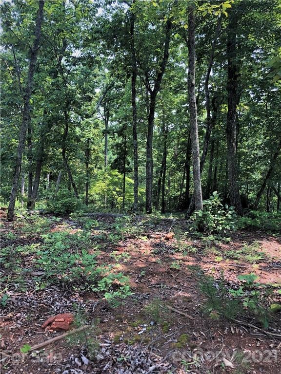 Lure Ridge Dr #27, Lake Lure, NC 28746