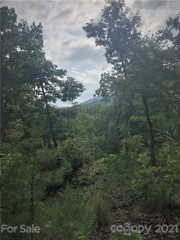 Lure Ridge Dr #27, Lake Lure, NC 28746