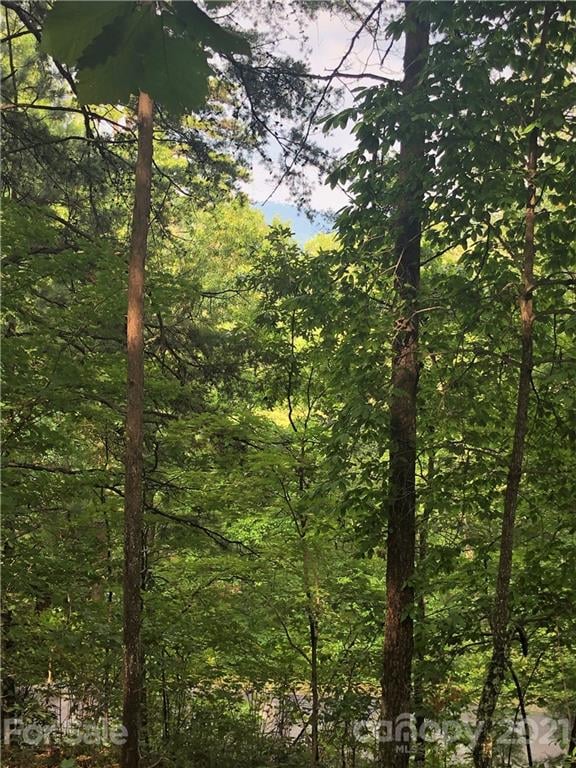 Lure Ridge Dr #27, Lake Lure, NC 28746
