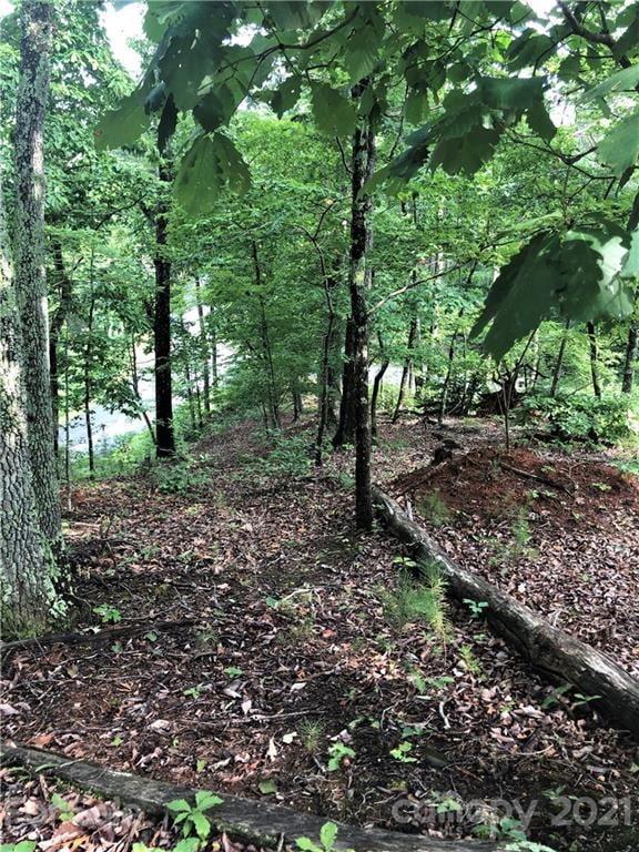Lure Ridge Dr #26, Lake Lure, NC 28746