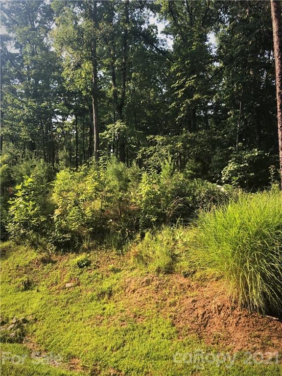 Lure Ridge Dr #26, Lake Lure, NC 28746