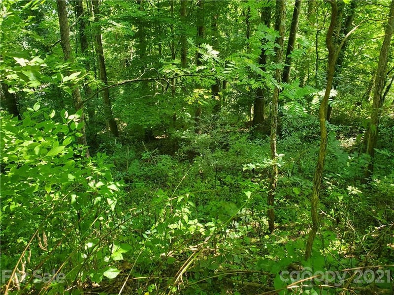 32 Fox Rn #A 32, Waynesville, NC 28785