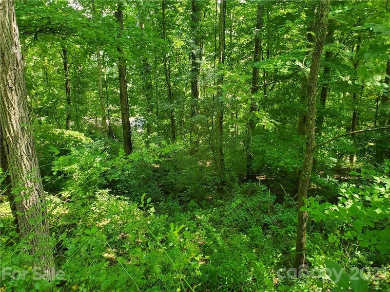 32 Fox Rn #A 32, Waynesville, NC 28785