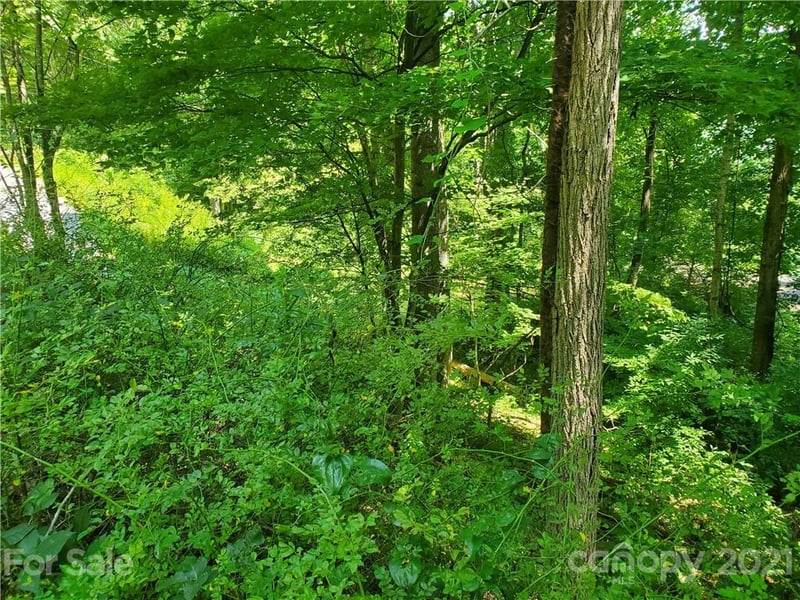 32 Fox Rn #A 32, Waynesville, NC 28785