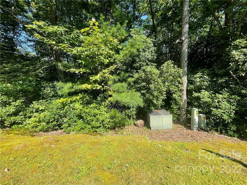 99999 Pine Mountain Trl #M37, Brevard, NC 28712