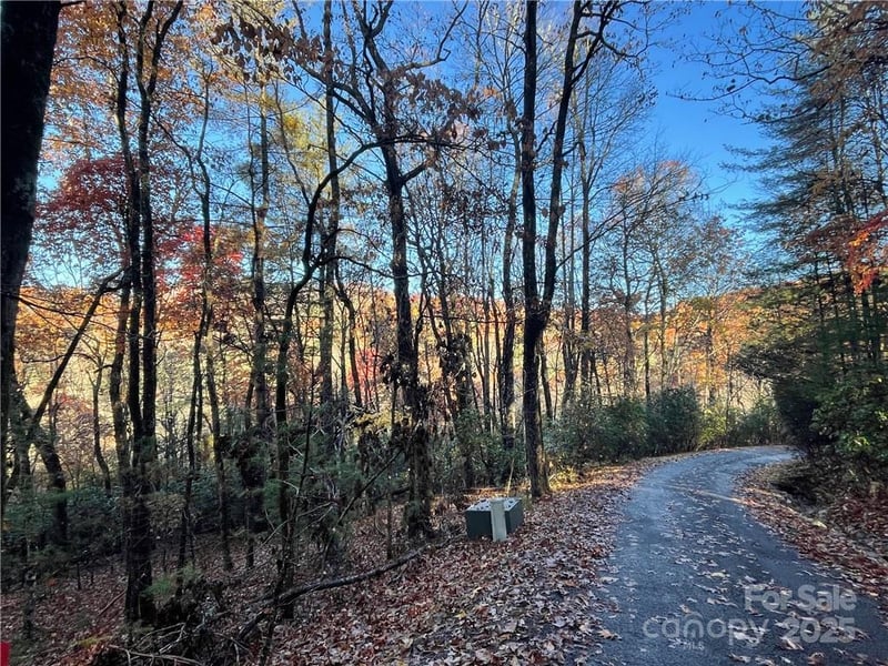 9999 Sassafras Rd #4, Cedar Mountain, NC 28718