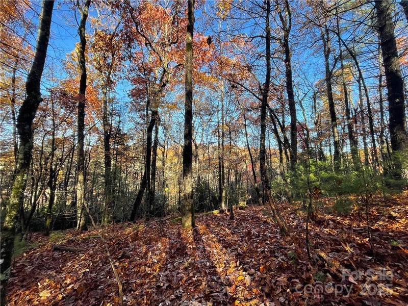9999 Sassafras Rd #4, Cedar Mountain, NC 28718