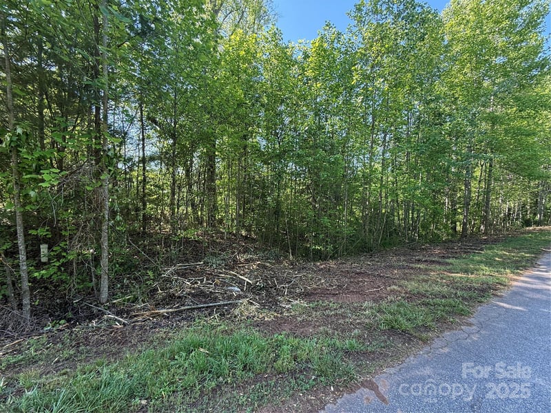 Lot 248 Riley Dr #248, Taylorsville, NC 28681