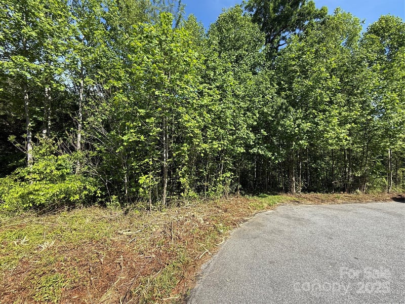 Lot 263 Riley Dr #263, Taylorsville, NC 28681