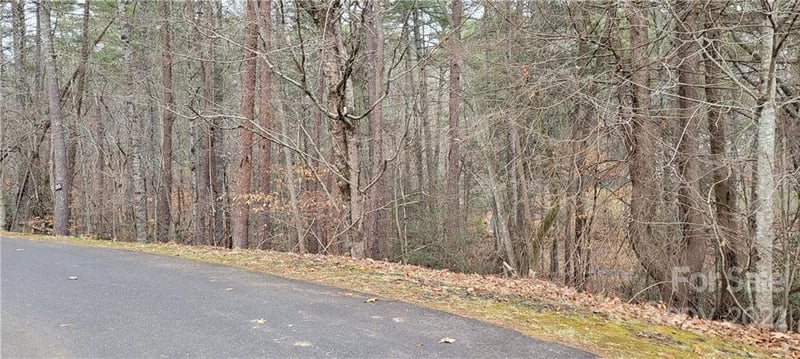 35 Settlers Trl #35, Mars Hill, NC 28754