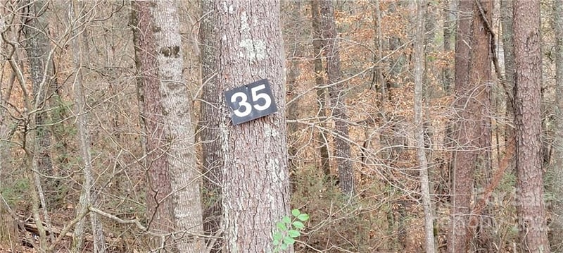 35 Settlers Trl #35, Mars Hill, NC 28754