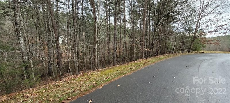 35 Settlers Trl #35, Mars Hill, NC 28754