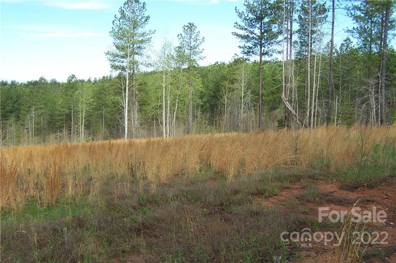 Tract 3 County Line Rd, Mill Spring, NC 28756