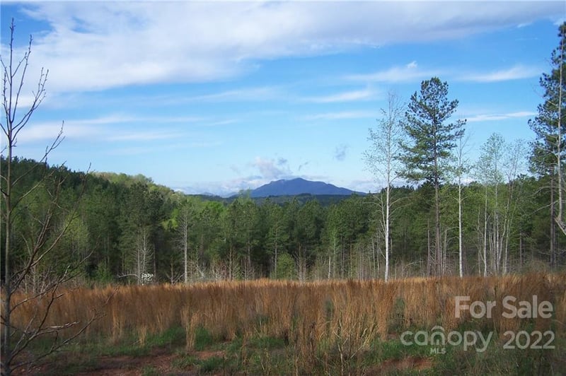 Tract 3 County Line Rd, Mill Spring, NC 28756