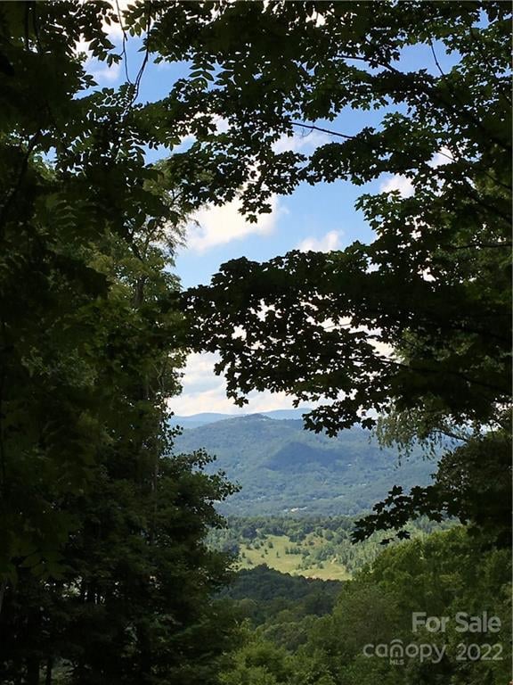 TBD Mcguires Rg #321-322, Waynesville, NC 28786