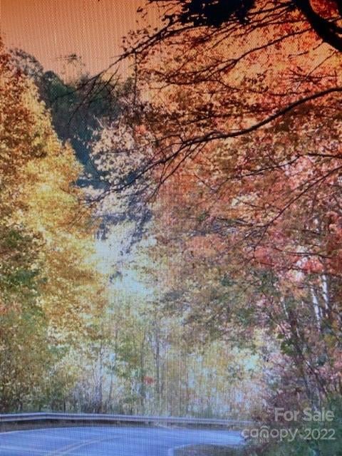 00 Trillium Ln, Mars Hill, NC 28754