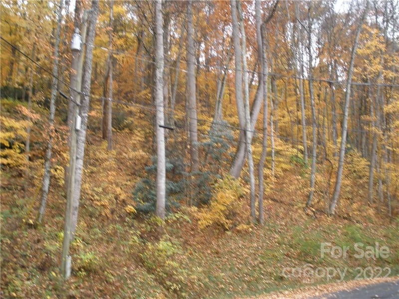 Lot 13 Dogwood Dr, Maggie Valley, NC 28751