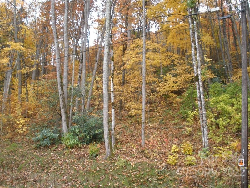 Lot 13 Dogwood Dr, Maggie Valley, NC 28751