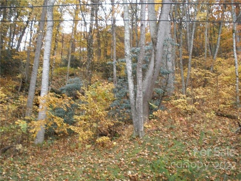 Lot 13 Dogwood Dr, Maggie Valley, NC 28751