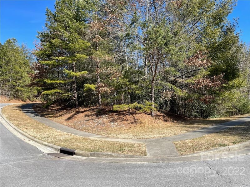 V30 Blueberry Hill Rd, Brevard, NC 28712