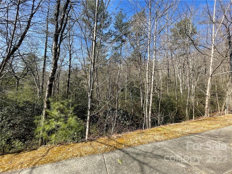 SH11 Springhouse Trl, Brevard, NC 28712