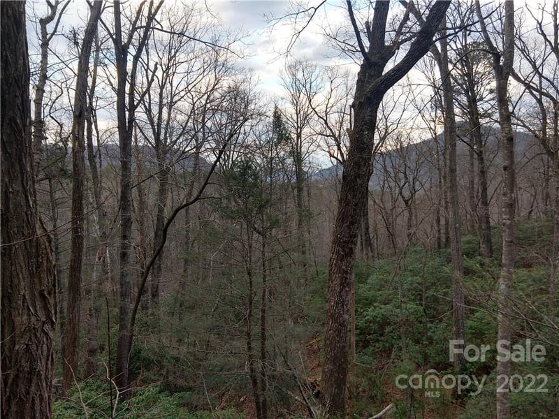 Lots 94 - 95 Rock Spring Rd, Lake Lure, NC 28746