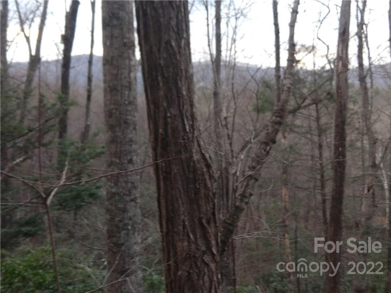Lots 94 - 95 Rock Spring Rd, Lake Lure, NC 28746