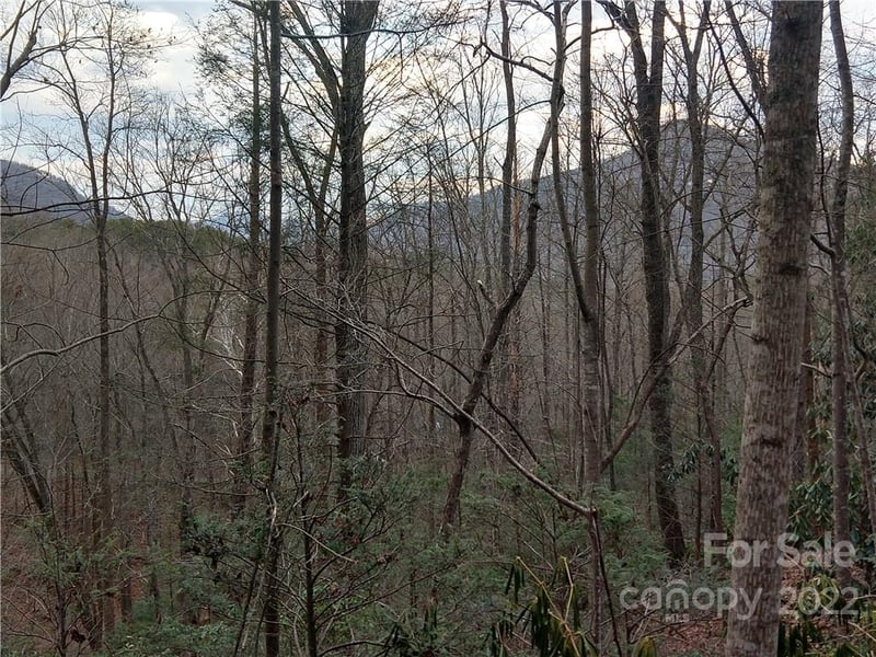 Lots 94 - 95 Rock Spring Rd, Lake Lure, NC 28746