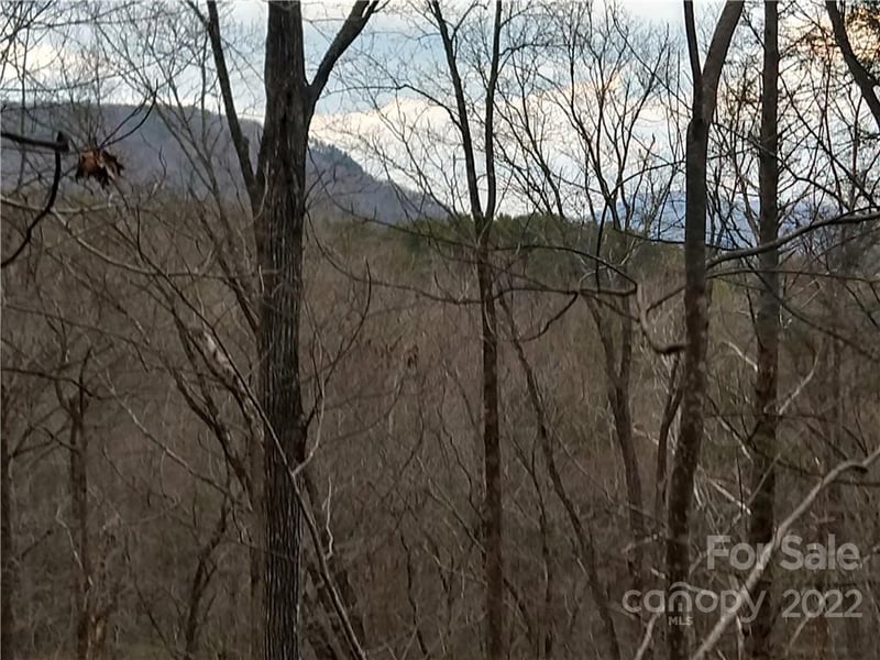 Lots 94 - 95 Rock Spring Rd, Lake Lure, NC 28746