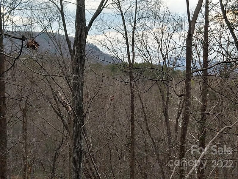 Lots 94 - 95 Rock Spring Rd, Lake Lure, NC 28746